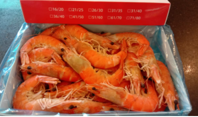 Fzn Cooked Vannamei Shrimp 21/25 (800gm)
