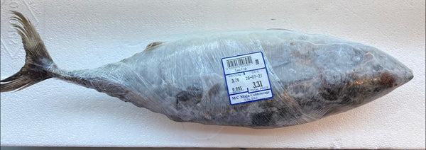 Tuna Fish (per kg)
