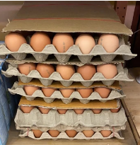 Fresh eggs (per tray)